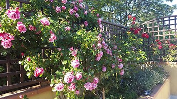 Bed & Breakfast La Valle