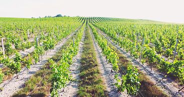 Château Pierre de Montignac