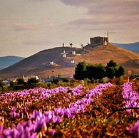 Posada de los Consules Consuegra