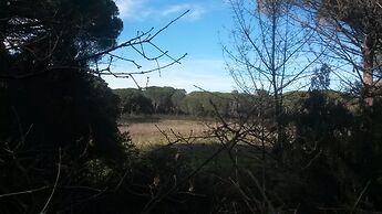 Les Mayombes