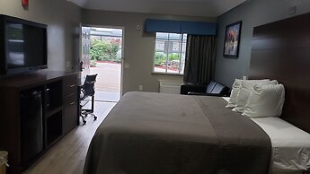 Palace Inn Hwy 6 North & Clay Rd