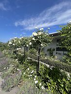 Lyttelton Boatique House