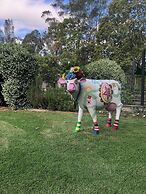 Mansfield on the Manning