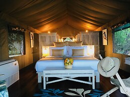 Flameback Eco Lodge