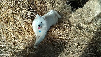 Les Clefs de L Argilière