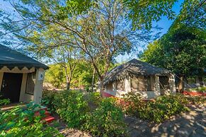 Camp Serai Tiger Tadoba