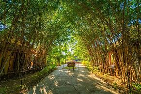 Camp Serai Tiger Tadoba