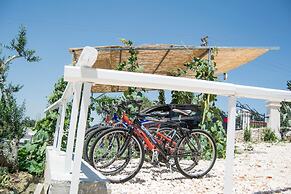 REFUGE OF THE PAGANI