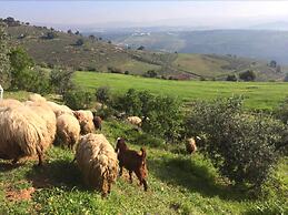 Dibeen Eco Farm House