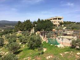 Dibeen Eco Farm House