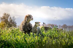 Chambres D'hôtes Mas D'eymard