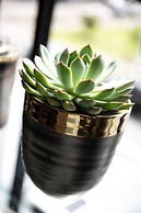 The Row Hotel at Assembly Row, Autograph Collection