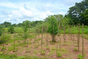 Wilpattu Dilsara Holiday Resort