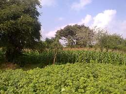 Wilpattu Dilsara Holiday Resort