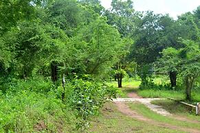 Wilpattu Dilsara Holiday Resort