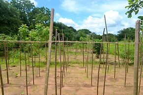 Wilpattu Dilsara Holiday Resort