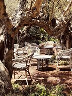 Bikini Island & Mountain Hotel Port de Sóller - Adults Only