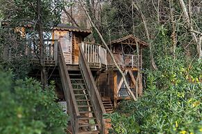 Orion Tree houses