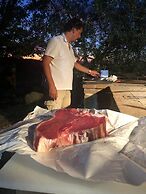 Agriturismo Il Macchione