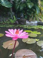 Le Domaine Du Rocher Noir