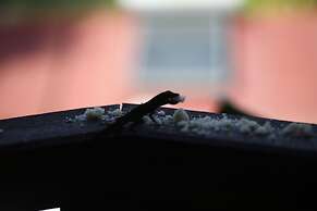 Le Domaine Du Rocher Noir