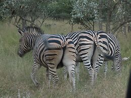 Sunset Lodge & Safaris