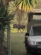 Sunset Lodge & Safaris