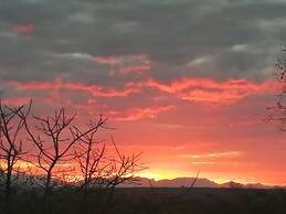 Sunset Lodge & Safaris