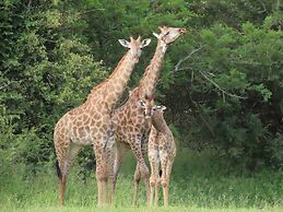 Sunset Lodge & Safaris