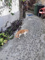 Casa Zona Velha -Caetano