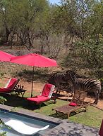 Imbube Safari Lodge