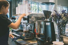 The Tree Sleep and Space