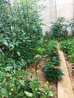 Friendly People's Guest House