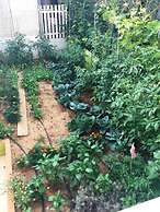 Friendly People's Guest House