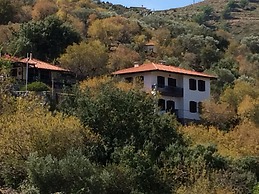 Selimiye Houses
