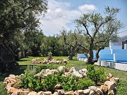 Cavo Orient Beach Hotel