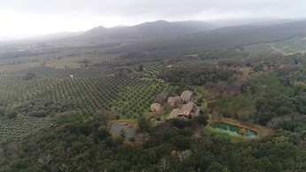 Pieve di Caminino Historic Farm