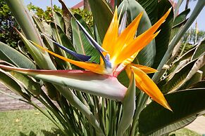 Apartamentos Ecuador