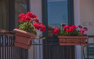 Heliotrope The Studios