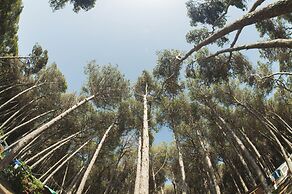 Camping Village Mare Pineta