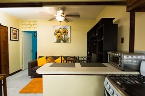 New Kingston Most Central Guest Apt
