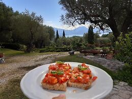 Pie' d'Ulivo