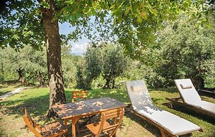 B&B La Torretta