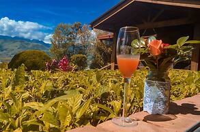 Hotel Rancho Constanza