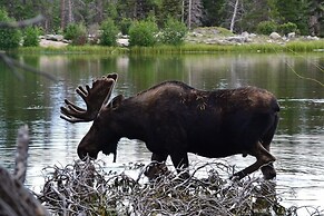 Casa Del Cielo (Sky House) - 3 Br Home