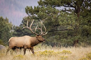 Casa Del Cielo (Sky House) - 3 Br Home