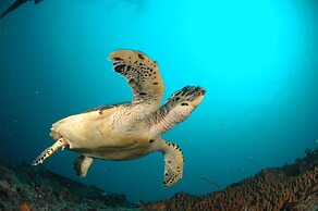 Annama Lodge And Dive