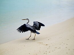 Annama Lodge And Dive