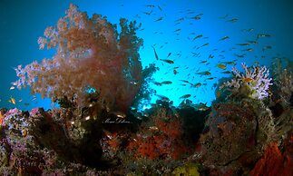 Annama Lodge And Dive