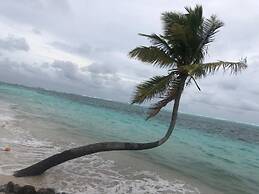 Annama Lodge And Dive